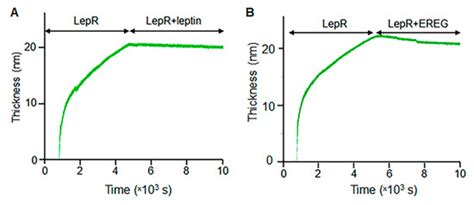 Cells | Special Issue : Molecular Mechanisms in Metabolic Disease 2022
