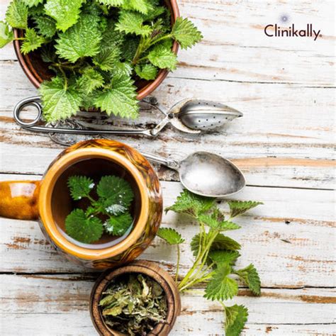 Unlocking the Secrets of Horny Goat Weed | Clinikally