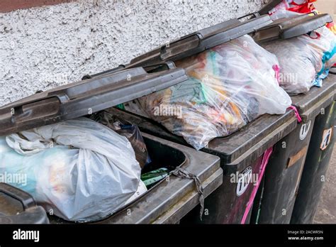 Image result for Waste container Waste Management Tips