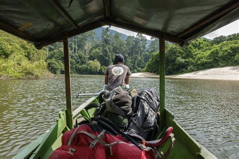 The Complete 2025 Guide to Endau Rompin National Park