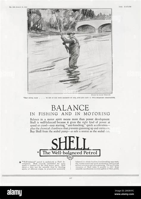 Image result for Shell Advert Stain More