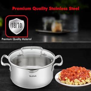 Tefal Duetto Plus Stainless Steel Stew Pot 20 cm with Glass Lid, Silver ...