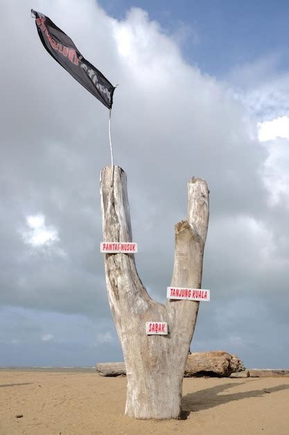 Danger Tree Sign 的图像结果