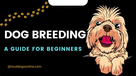 Image result for First Breeding Dogs