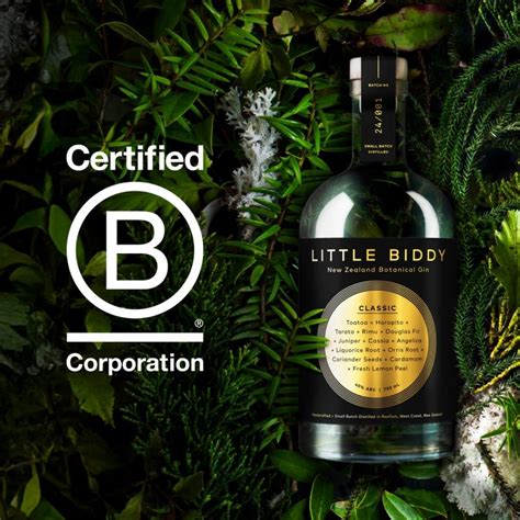 Image result for Patsy Acocella Bass Player