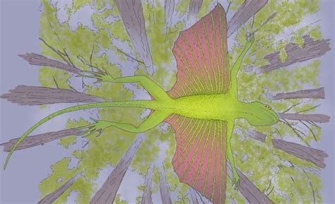 Image result for Moebius Flying Creatures