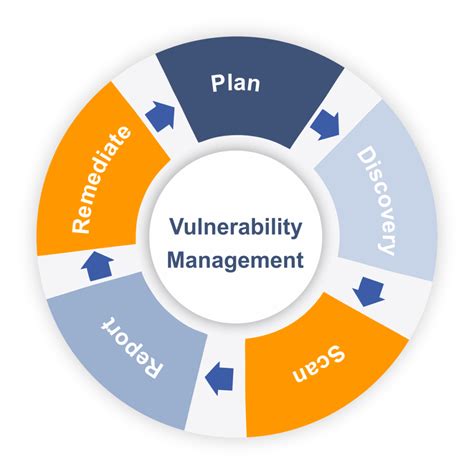 Vulnerabilities Assessment 的图像结果