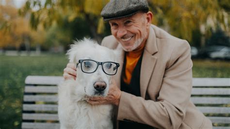 In-N-Out Franchise Explained for Entrepreneurs.