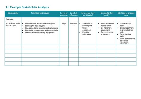 Stakeholder Analysis Sample 的图像结果
