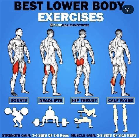 Lower Body Exercises Easy Chart - Swipe File