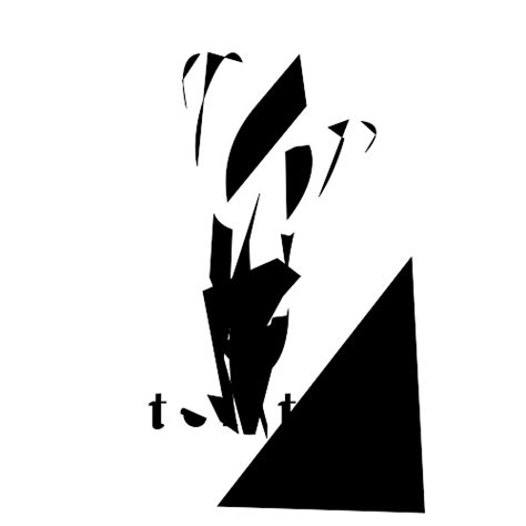 Code TCL 的图像结果