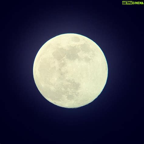 Alba Flores Wiki, Biography, Age, Gallery, Spouse and more