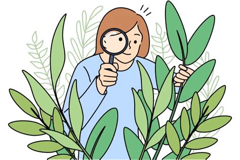 Plant Scientist 的图像结果