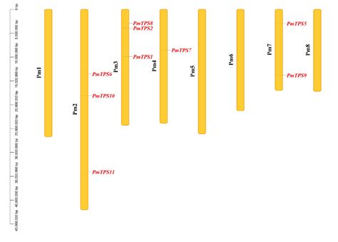 Characteristics and Expression Analyses of Trehalose-6-Phosphate ...