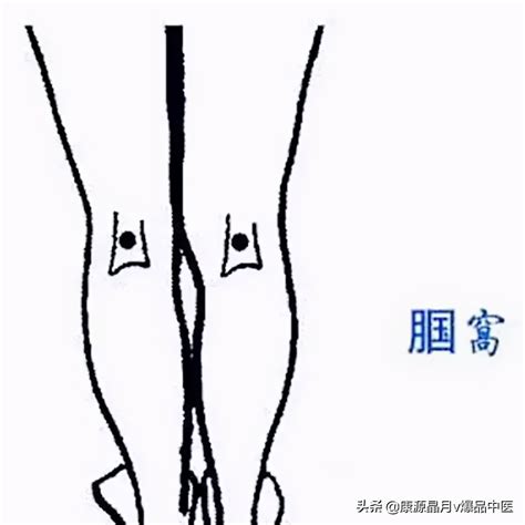 经络拍打操最终版_腾讯视频