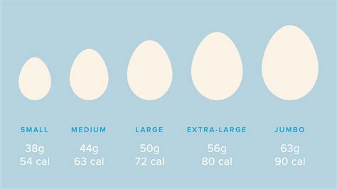Nutrition In 1 Whole Egg