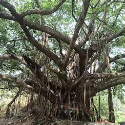 Best Top Rated Hindu temple in Rohini Tea Garden, West Bengal, India ...