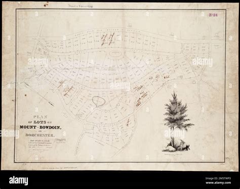 Plan of lots on Mount-Bowdoin in Dorchester. Oriented with north toward ...