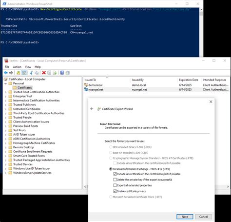 Image result for PFX File