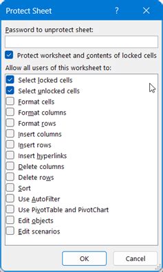 Image result for Protect Worksheet
