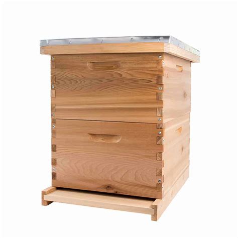 Managing Hive Capacity - PerfectBee