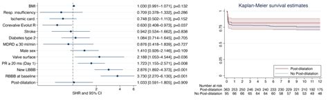 Post-Dilatation of New-Generation Self-Expandable Transcatheter Aortic ...