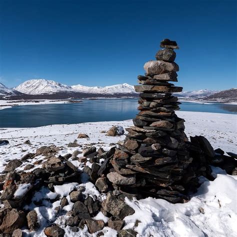 Image result for Altaic Languages Tree