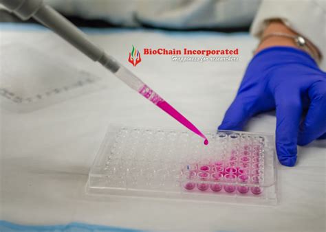 Zebrafish ELISA Kit Supplier in India – Features & Benefits