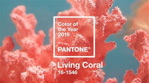 【PANTONE 2019年度色】新的一年 就讓「活珊瑚橘」給你滿滿正能量！ | Buyandship（台灣）