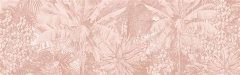 Peach Fuzz – Pantone's Color of the Year 2024 – Life n Colors