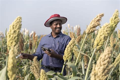 Indian Scientist Wins Global Award For Developing World's First Bajra ...