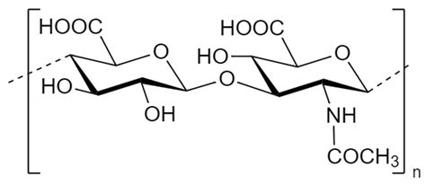Polysaccharide-Based Bioplastics: Eco-Friendly and Sustainable ...