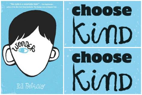 Wonder The Book Auggies Face