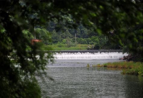 武义河道流水清清 两岸游客流连忘归--金华频道