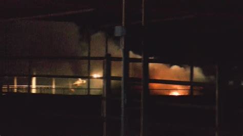 Worker critically hurt, 18,000 cows killed after dairy farm explosion ...