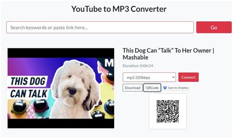 Image result for YouTube Convert MP3