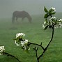 Image result for Spring Is Coming Good Morning