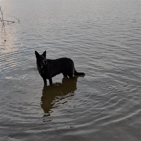 Yellow Creek Campground — Yellow Creek State Park | Penn Run, Pennsylvania