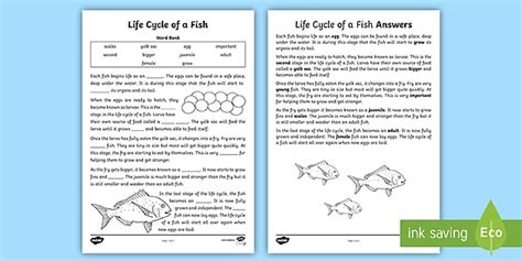 Life Cycle of a Fish Cloze Worksheet