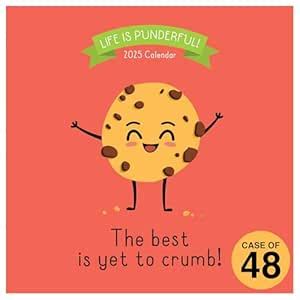 TF PUBLISHING 2025 Puns of Fun Wall Calendar Case of 48 - Large Grids ...