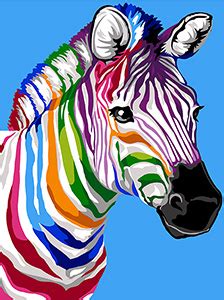 Image result for Split Complementary Colors Examples