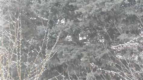 Snow Falling HD 的图像结果