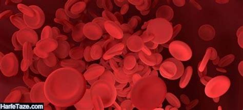 HB در آزمایش خون | تفسیر ساده HB هموگلوبین در آزمایش خون + علل کاهش و ...