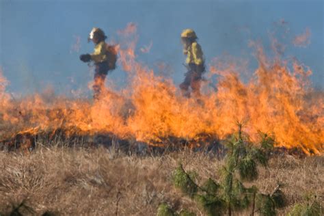 Wildland Fire Learning Portal