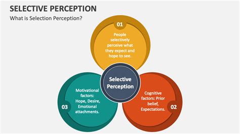 Image result for Selective Perception Examples