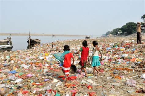 To Speed Up Ganga Water Cleanup, Centre To Use Microbes To Treat Sewage ...