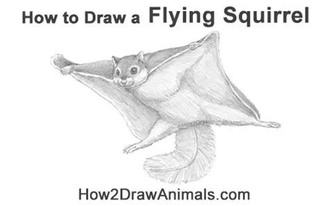 Squirrel Flight Sim Tutorials 5 的图像结果