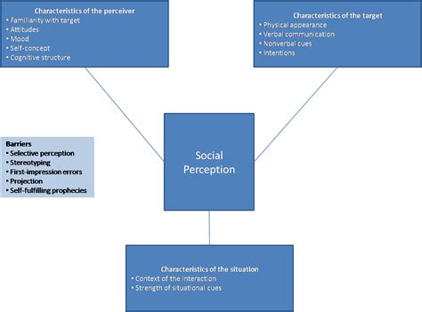 Social Perception Example 的图像结果