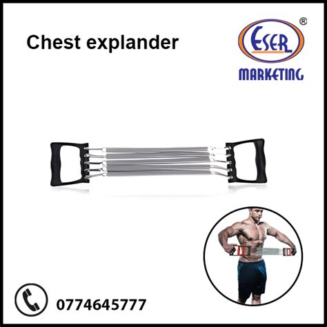 Chest Expander Exercise Guide 的图像结果