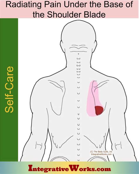 Shoulder Blade Stretches For Pain